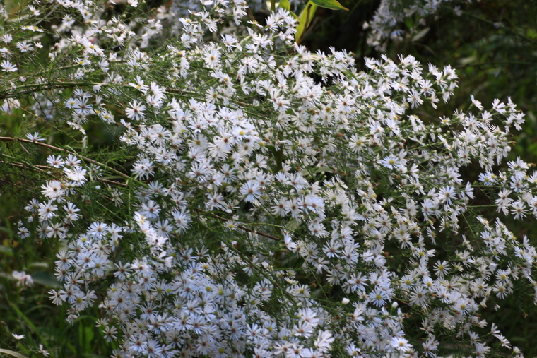 d0248502_23481019.jpg