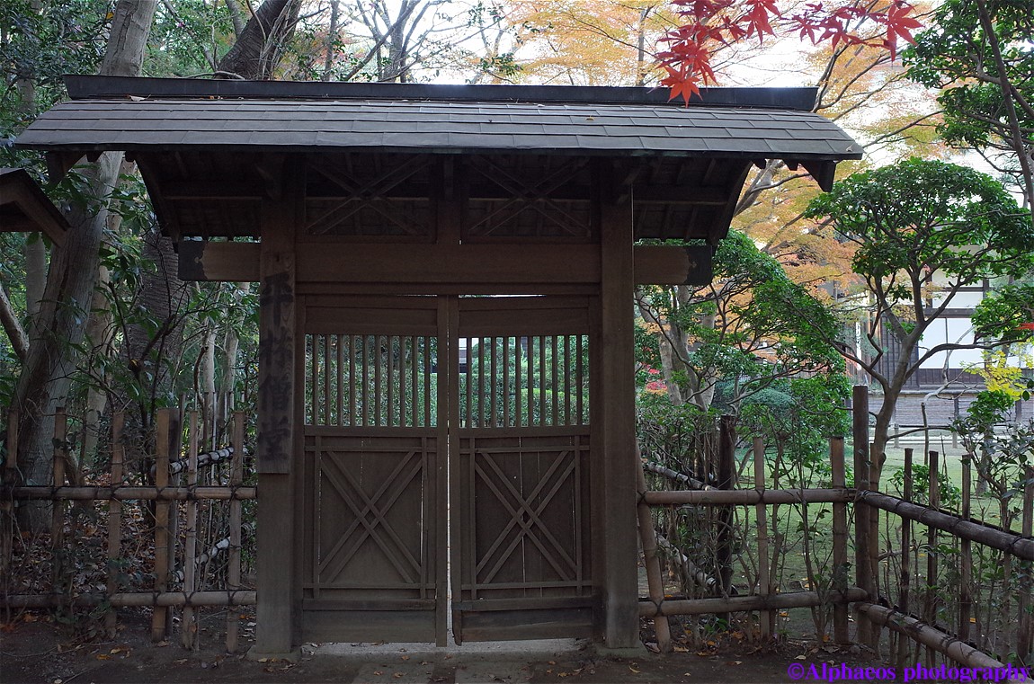 2013年11月24日　GR　平林寺４_a0060403_6305179.jpg