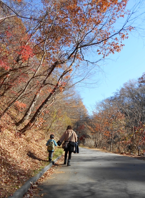 11月25日（月）　生後6歳　軽井沢にいってきました　その２_c0138904_21211448.jpg