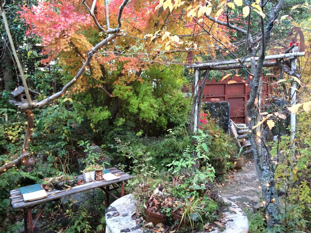 f0188408_136731.jpg