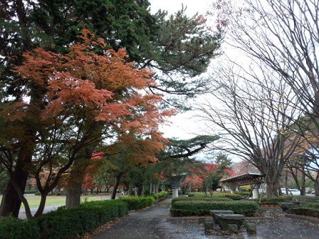 f0284409_13435256.jpg