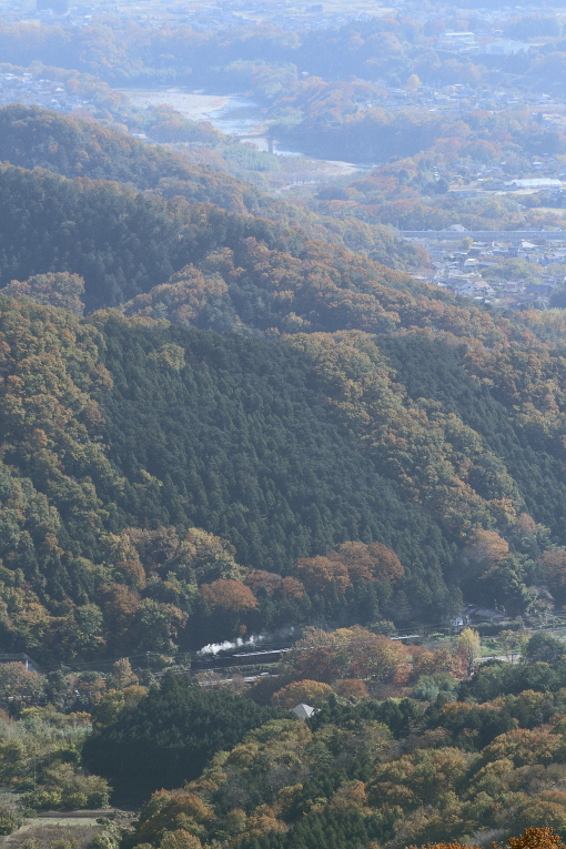 紅葉の山と渓谷　- 2013年紅葉の秩父 -  _b0190710_231036.jpg