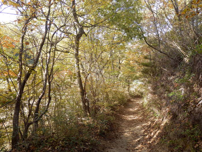 f0219710_7315841.jpg