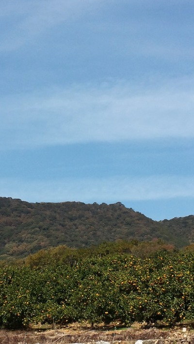 a0194911_1957513.jpg
