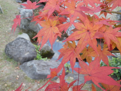 c0062511_21403750.jpg