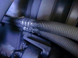 c0118011_1225353.jpg