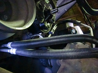 c0118011_1234846.jpg