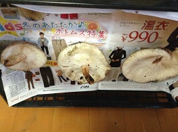 追加25_f0236012_163620100.jpg