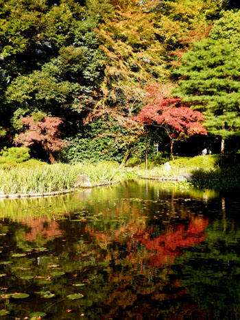 平安神宮 13紅葉だより45_e0048413_15551556.jpg