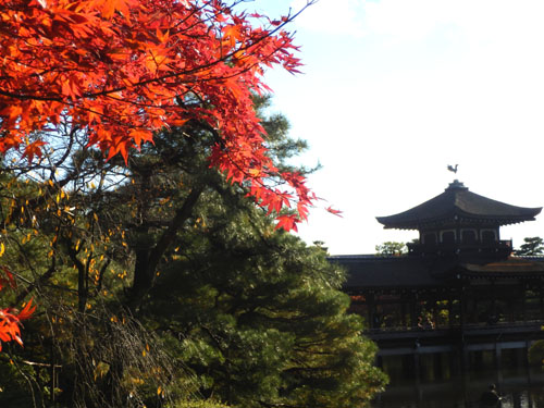 平安神宮 13紅葉だより45_e0048413_15554154.jpg