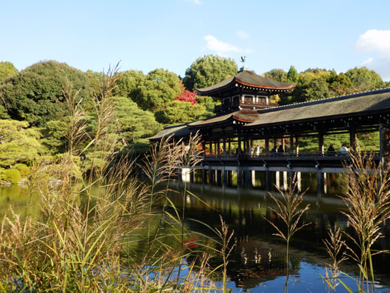 平安神宮 13紅葉だより45_e0048413_15561924.jpg