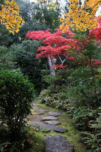 大徳寺 高桐院 13紅葉だより48_e0048413_19101828.jpg