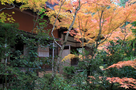 大徳寺 高桐院 13紅葉だより48_e0048413_19103357.jpg