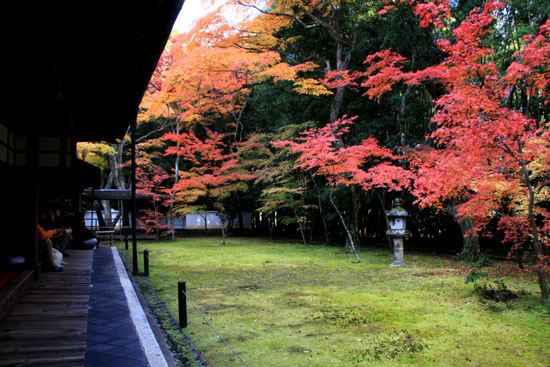 大徳寺 高桐院 13紅葉だより48_e0048413_1991249.jpg