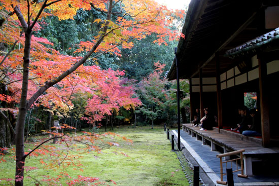 大徳寺 高桐院 13紅葉だより48_e0048413_1992855.jpg