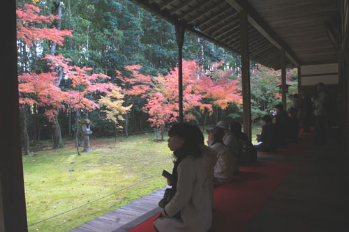 大徳寺 高桐院 13紅葉だより48_e0048413_1994870.jpg