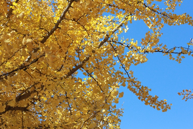 b0207615_22122649.jpg