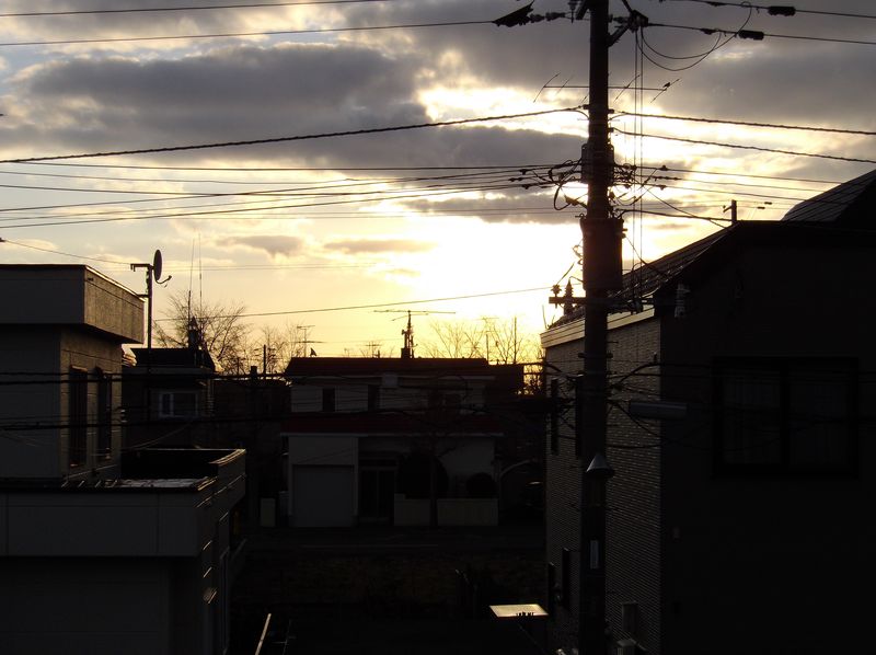 朝はなんとか持ったものの今は暴風雨_c0025115_1757058.jpg