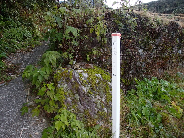 b0291016_19721.jpg