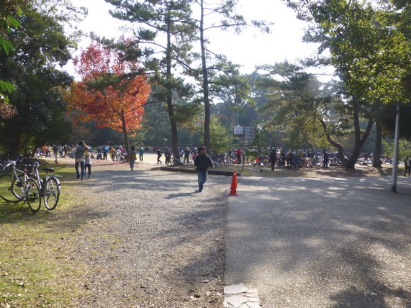 b0174217_11542720.jpg