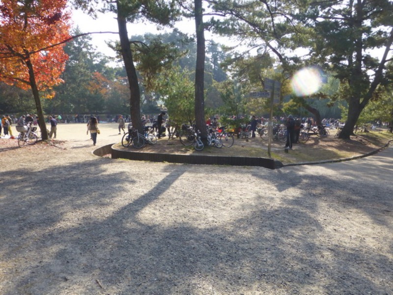 b0174217_11544584.jpg