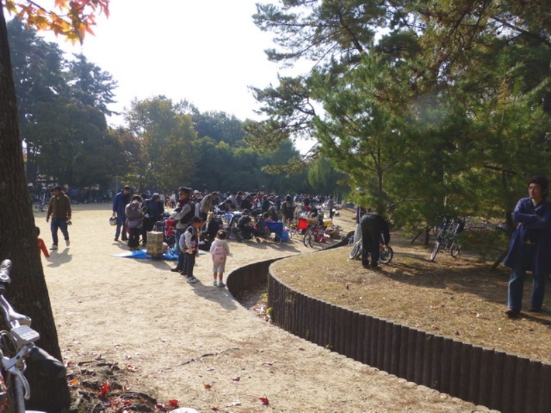 b0174217_11555721.jpg
