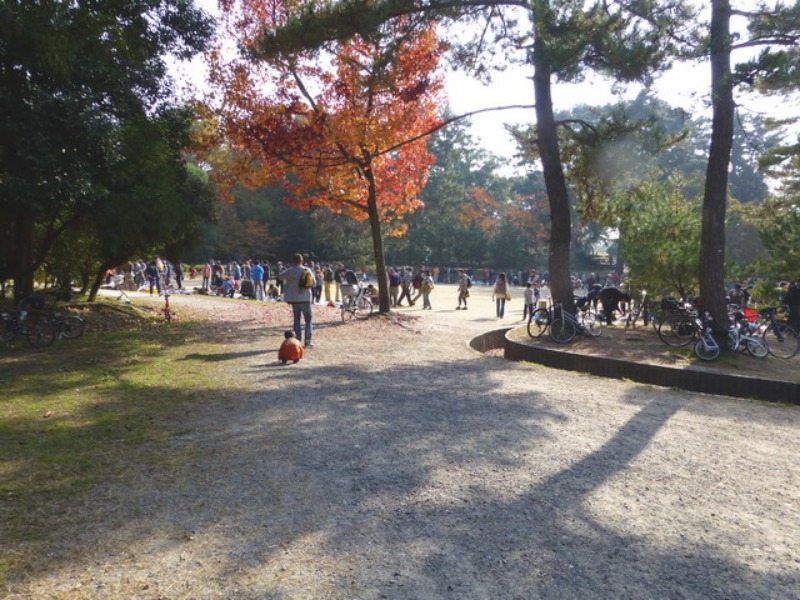 b0174217_1155983.jpg