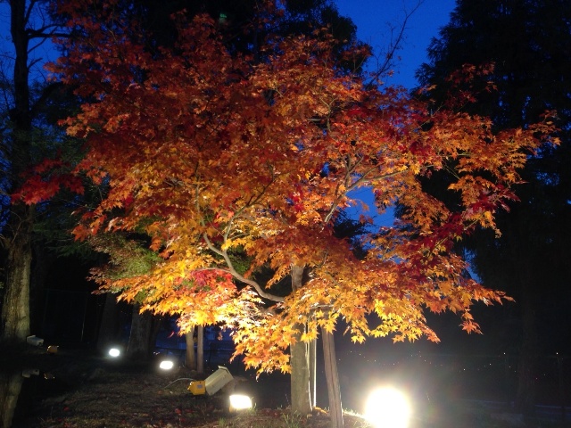 紅葉&足湯に行ってきました☆in石畳ふれあい広場_c0213517_12491726.jpg