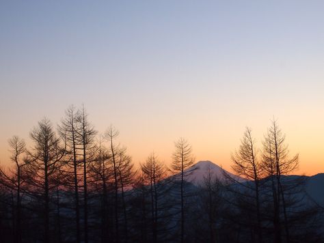 雲取山頂上まであと何分。_f0217617_0171440.jpg