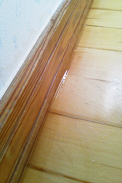 b0259218_0475342.jpg