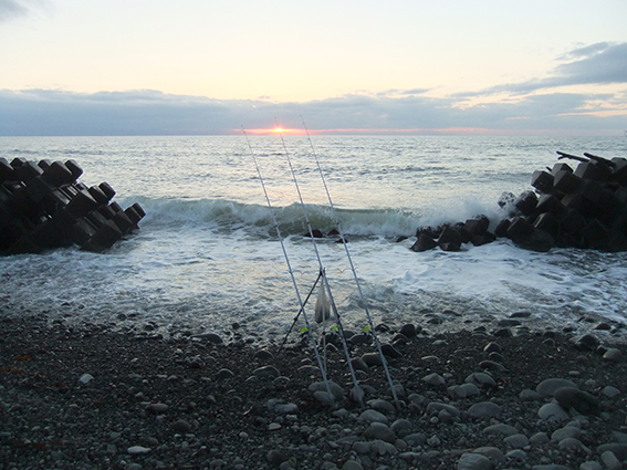 ２０１３.１１.２４　厚田海岸のカジカ釣り空振り　１５：４０〜２０：００_a0155319_8515516.jpg