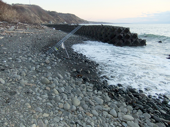 ２０１３.１１.２４　厚田海岸のカジカ釣り空振り　１５：４０〜２０：００_a0155319_8522129.jpg