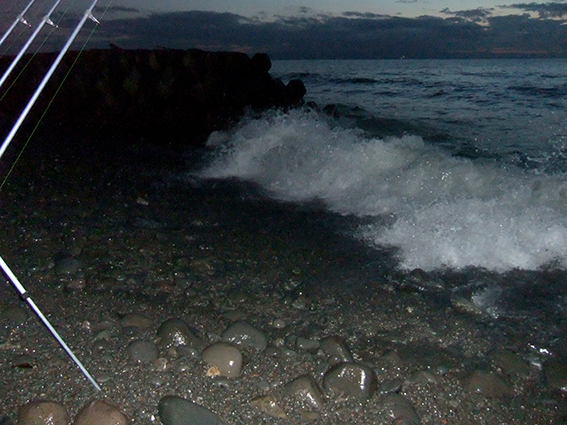 ２０１３.１１.２４　厚田海岸のカジカ釣り空振り　１５：４０〜２０：００_a0155319_8524016.jpg