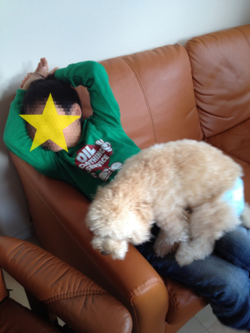 b0121019_21123149.png