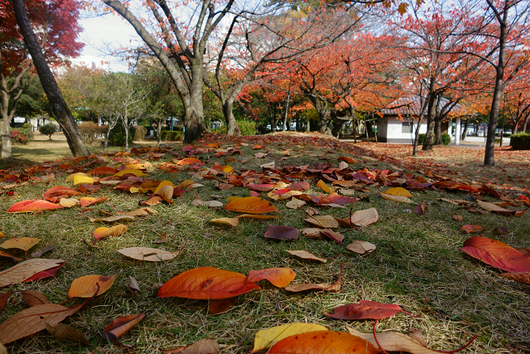 b0284519_2058858.jpg