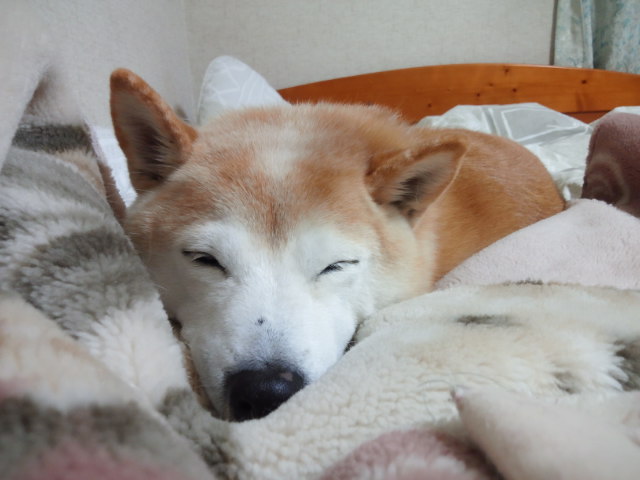 c0060620_15594380.jpg
