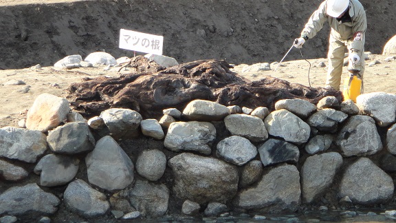 f0000521_0523114.jpg