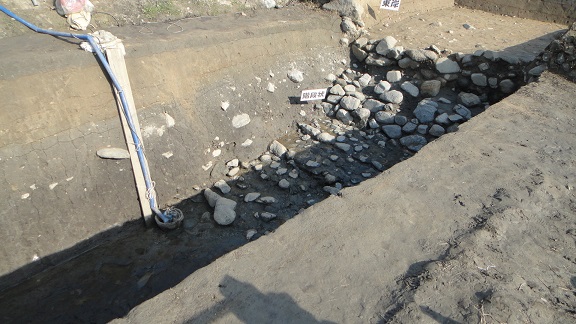 f0000521_1165040.jpg