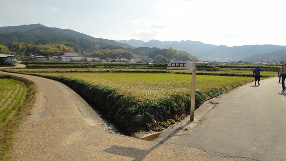f0000521_1313064.jpg