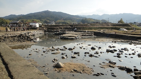f0000521_141196.jpg