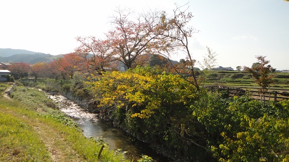 f0000521_1582890.jpg