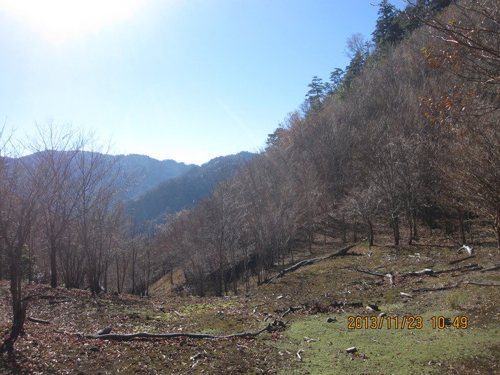 f0193521_10401537.jpg