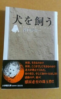 飼う前に読む本、『犬を飼う』（谷口ジロー）_d0255522_17164532.jpg