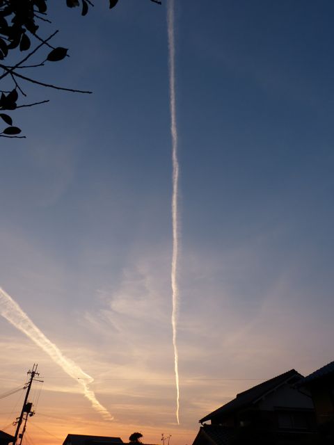 a0188023_712216.jpg