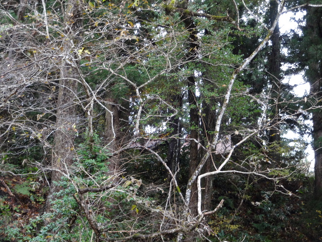 c0141223_21165969.jpg