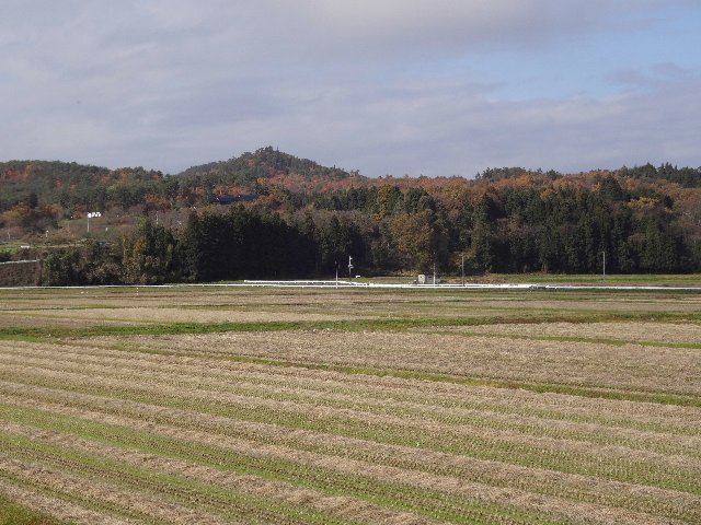 c0141223_2135112.jpg