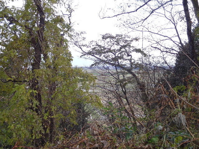c0141223_21502947.jpg
