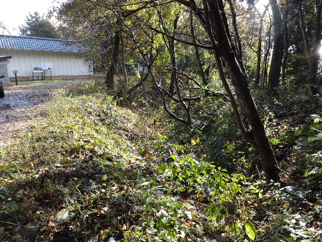 c0141223_21512629.jpg