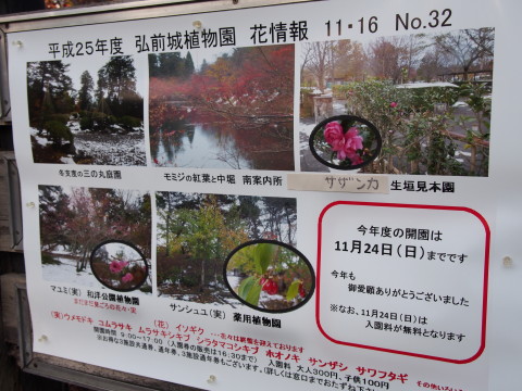 夕暮れ弘前公園散歩(弘前市)*2013.11.24_b0147224_22254471.jpg