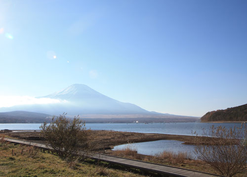 今年最後のファルコン草原_c0028424_12575662.jpg